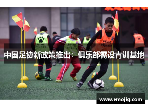 中国足协新政策推出：俱乐部需设青训基地